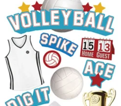 3D Stickers – Volleyball