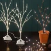 Dual 18″ Lighted LED Birch Branches – White