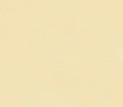 Duck Cloth Natural Cotton 8oz Utility Fabric