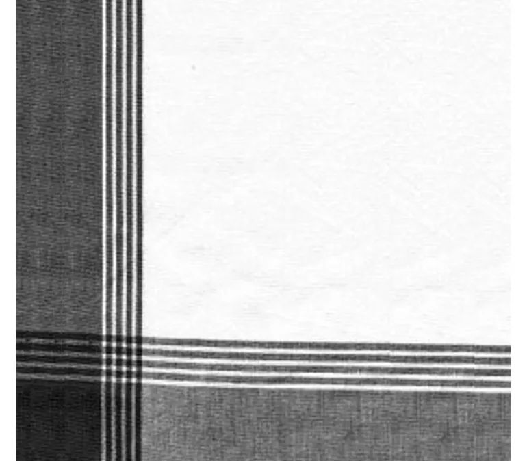 Dunroven House Pumpkin Plaid Woven Tea Towel in Taupe and Sage, #400-225
