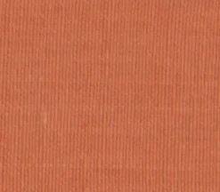 Dunroven House Red Lime Green on White Large Check Tea Towel