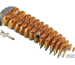EUGY 3D Model Kit – Anglerfish