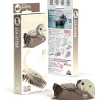 EUGY 3D Model Kit – Sea Otter