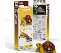 EUGY 3D Model Kit – Tortoise