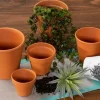 Euro Rose Pot – 6-inch