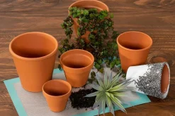 Euro Rose Pot – 6-inch