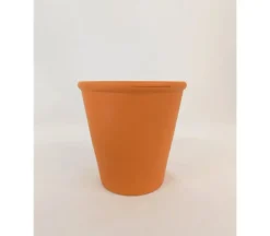 Euro Rose Pot – 6-inch