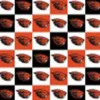 Fabric – Oregon State Diagonal Patch
