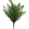 19″ Fern Bush
