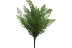 19″ Fern Bush