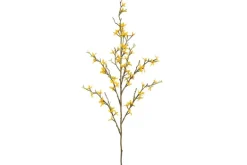 24″ Fern in Plastic Pot