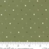 Fern Magic Dot Basic