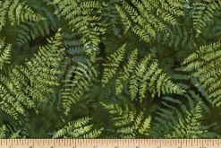 Ferns Batiks Fern Allover in Fern Green