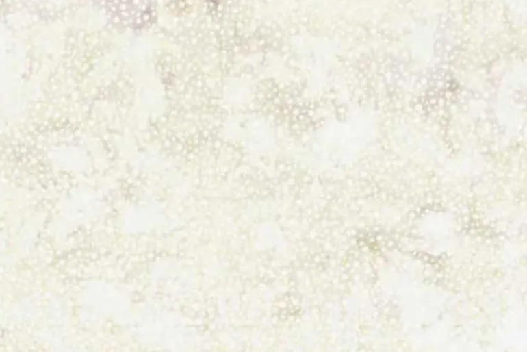 Ferns Batiks Swirling Petals in Oyster Beige