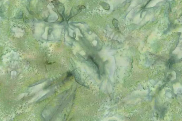 Ferns Batiks Swirling Petals in Oyster Beige