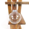 Fillable Plastic Ornaments – Round – 1 Piece