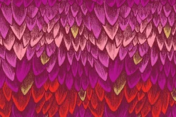 Fireglow 2 1/2-inch Jelly Roll Strips 40 Count