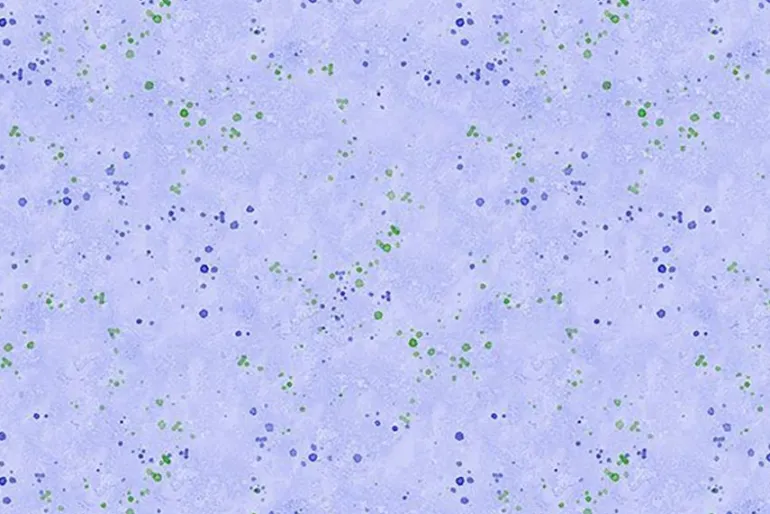 Floral Flutter Large Floral Toss on Gray