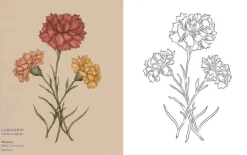 Florigraphy Coloring Book