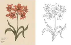 Florigraphy Coloring Book