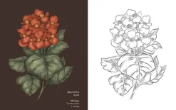 Florigraphy Coloring Book