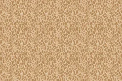 Forest Fruits Morel Mushroom Texture in Tan