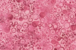 French Rose Batiks Spirals in Ruby