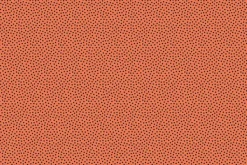 Frightful Fun – Boo -tiful Night Cardstock