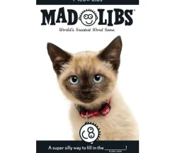 Game Over Mad Libs
