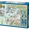 Garden Birds in Winter – 500 Piece Puzzle