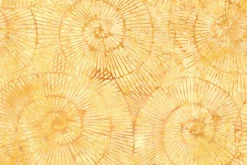 Geode Glow Batik Spiral in Amber Yellow