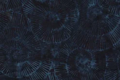 Geode Glow Batik Spiral in Midnight Blue