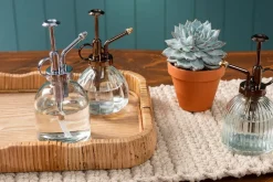 Glass Plant Mister – Decorative Water Sprayer