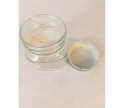 Glass Plant Mister – Decorative Water Sprayer