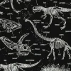 Glow In The Dark Dino Skeletons