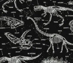 Glow In The Dark Dino Skeletons