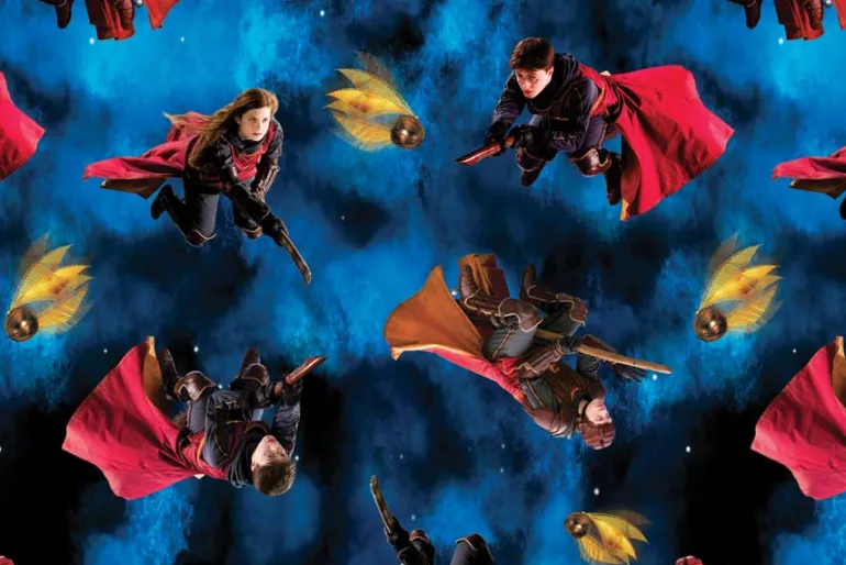 Harry Potter™ Characters Playing Quidditch on Blue