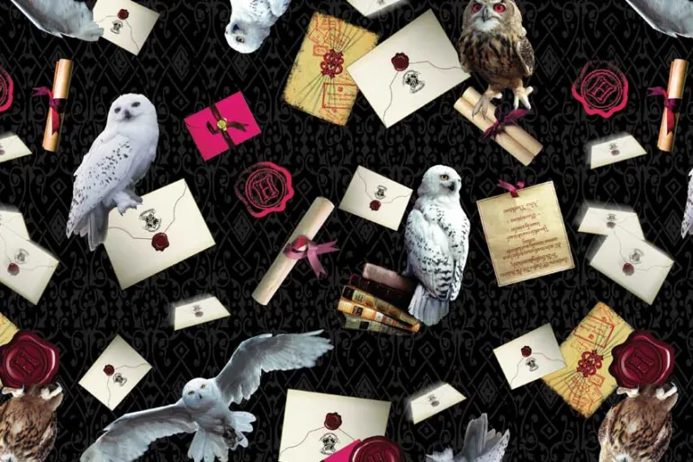Harry Potter™ Owl Postal Service Toss on Black