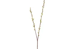 10.5″ Hellebore Bouquet, Cream