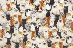 Here Kitty Digital Cuddle Beige