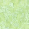 Hoffman St Paddy Batik Blender 1895-600