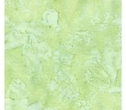 Hoffman St Paddy Batik Blender 1895-600