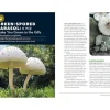 How to Forage for Mushrooms without Dying