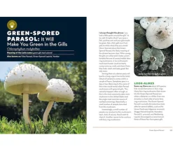 How to Forage for Mushrooms without Dying