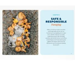 How to Forage for Mushrooms without Dying