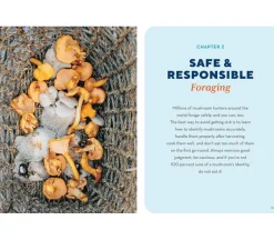 How to Forage for Mushrooms without Dying