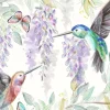 Hummingbird Printed Cuddle