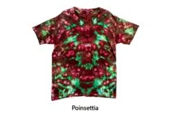 Ice Dye Kit – Meteorite