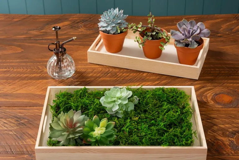 3-Inch Terra Cotta Clay Pot – Classic Mini Planter