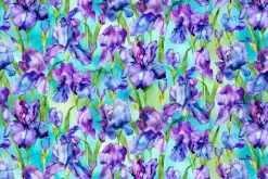 Infatuation Iris Floral Iris Feature on Turquoise